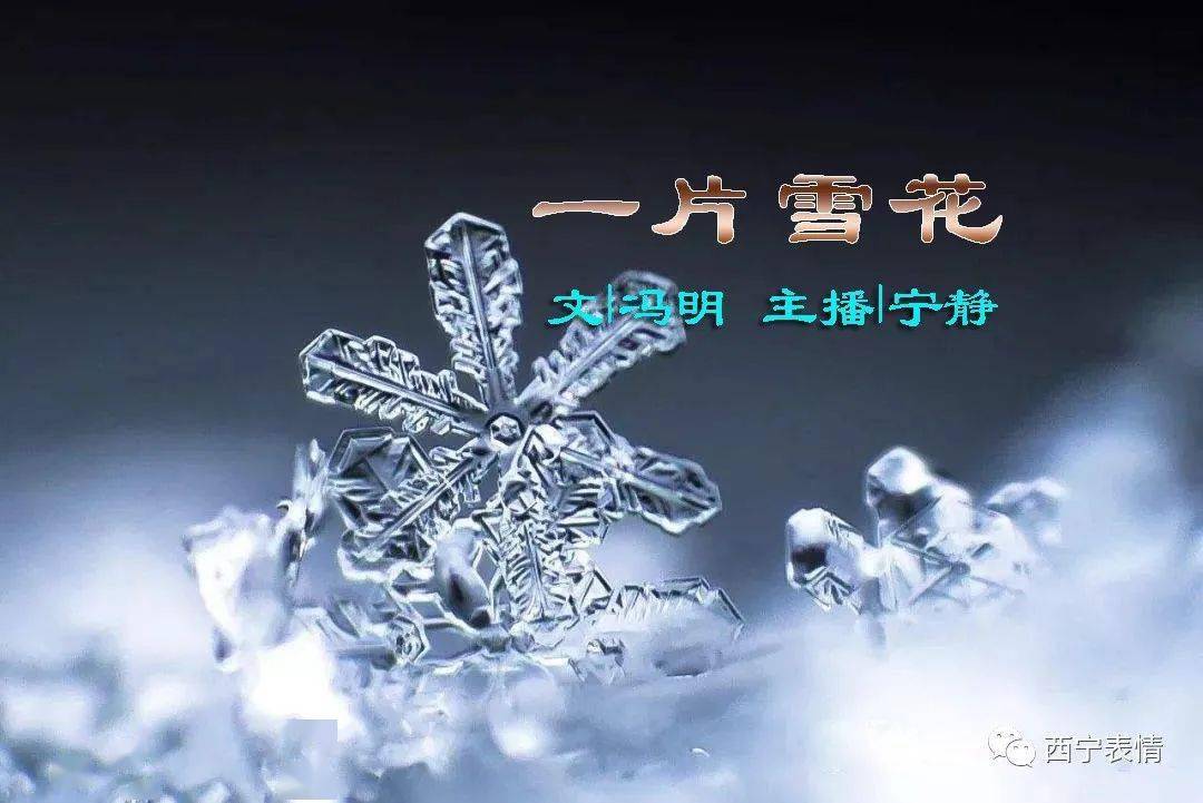 冯明一片雪花