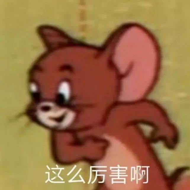 显示|这个元旦，你看了吗？