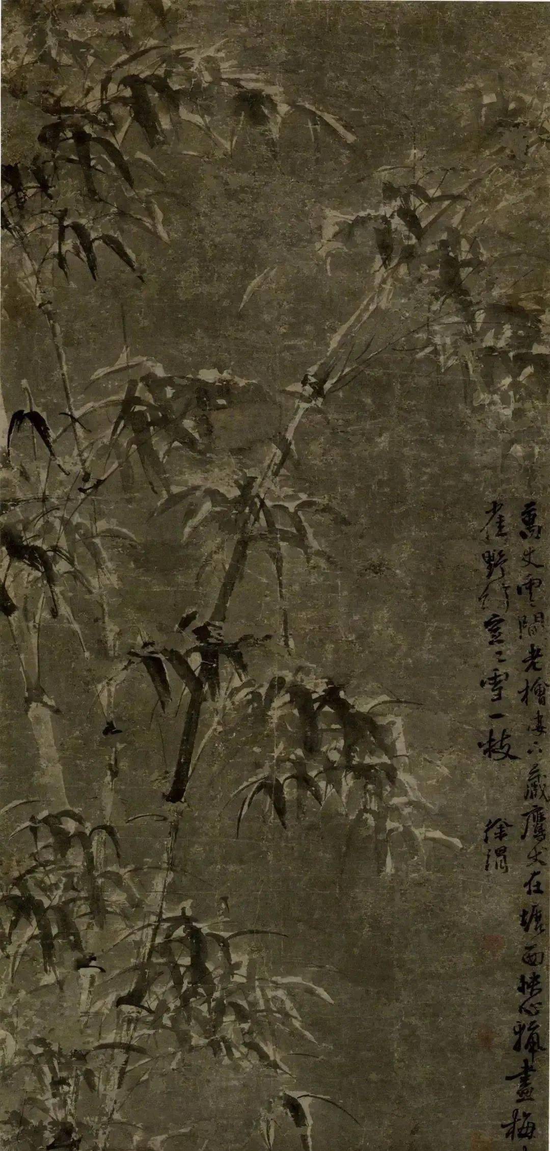 徐渭写竹,墨气淋漓!_水仙_竹子_墨竹