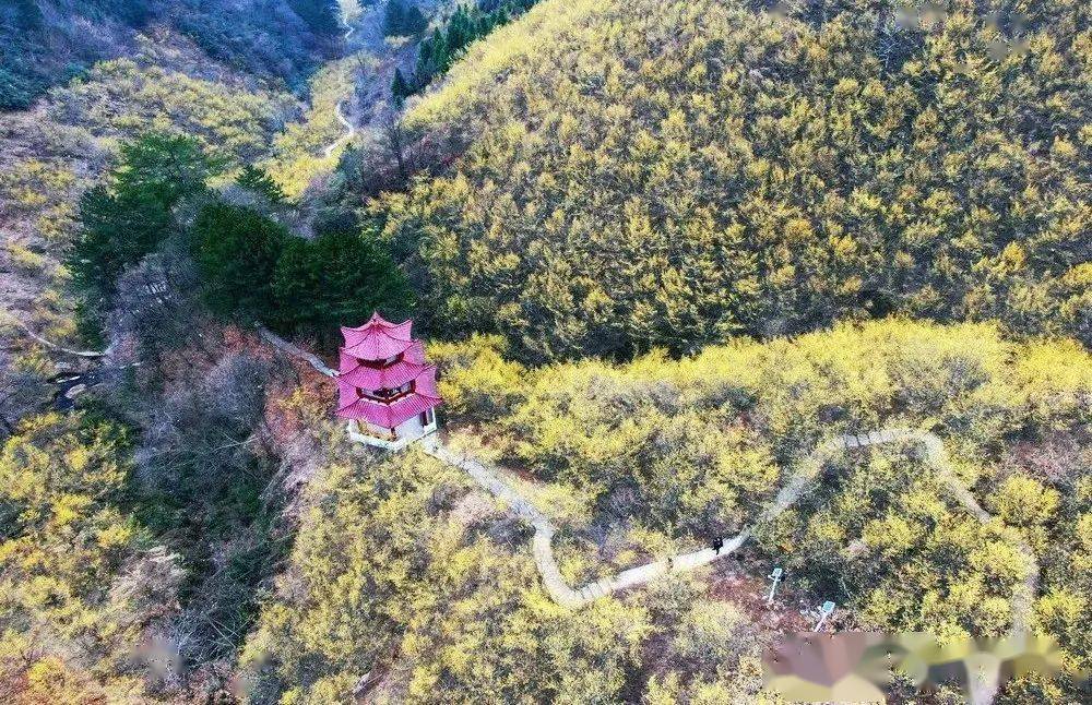 佛坪|重逢终有时，待山花烂漫，我在汉中这座小城等你！