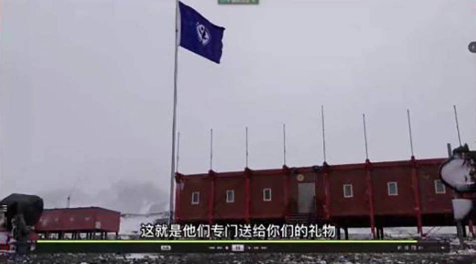 青少年|新年第一堂科普课很特别，上海青少年参与云直播“连麦南极”
