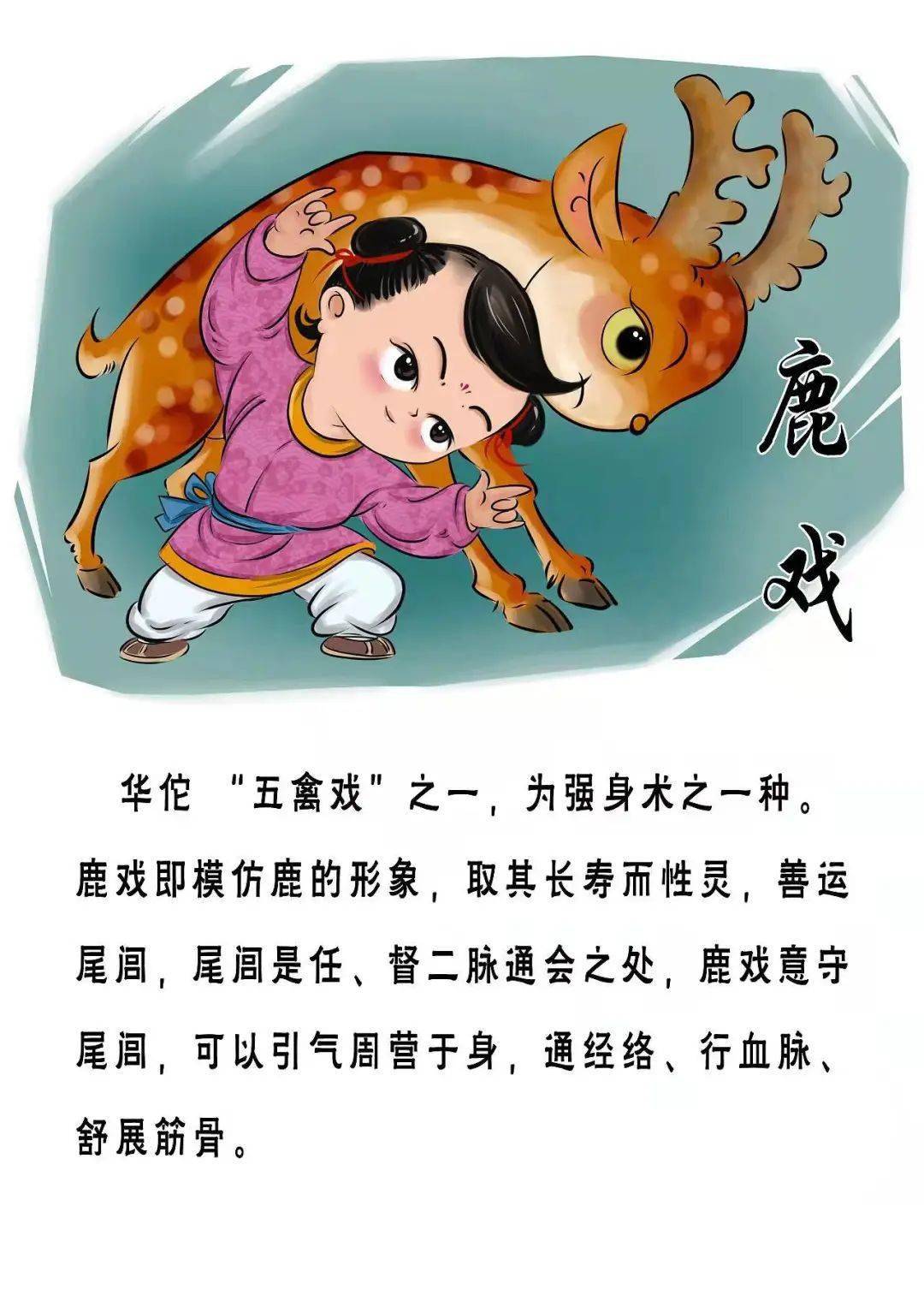 你所不知道的长寿密码!_华佗_五禽戏_身体