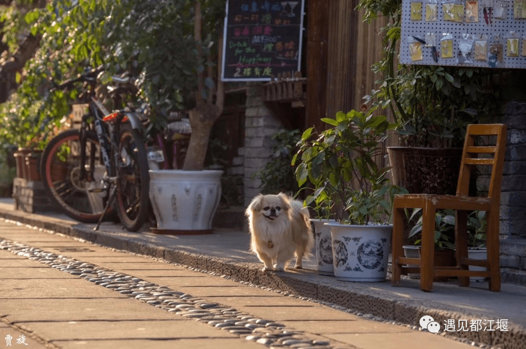 都过|又见都江堰！这是我生活的地方，一座幸福感爆棚的城市！