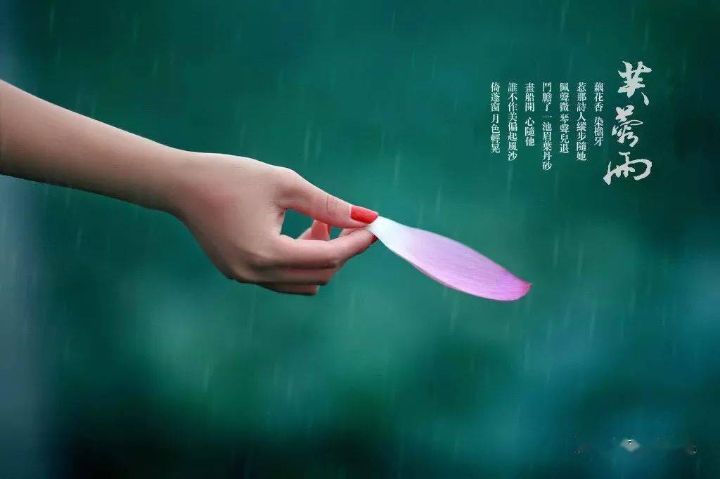 望春风萨克斯伴奏动态曲谱_望春风萨克斯独奏简谱(5)