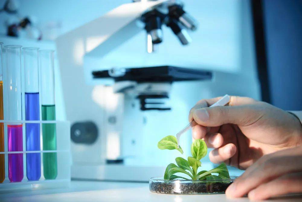 益智食物排行榜_休闲益智游戏排行榜-休闲益智游戏大全免费下载