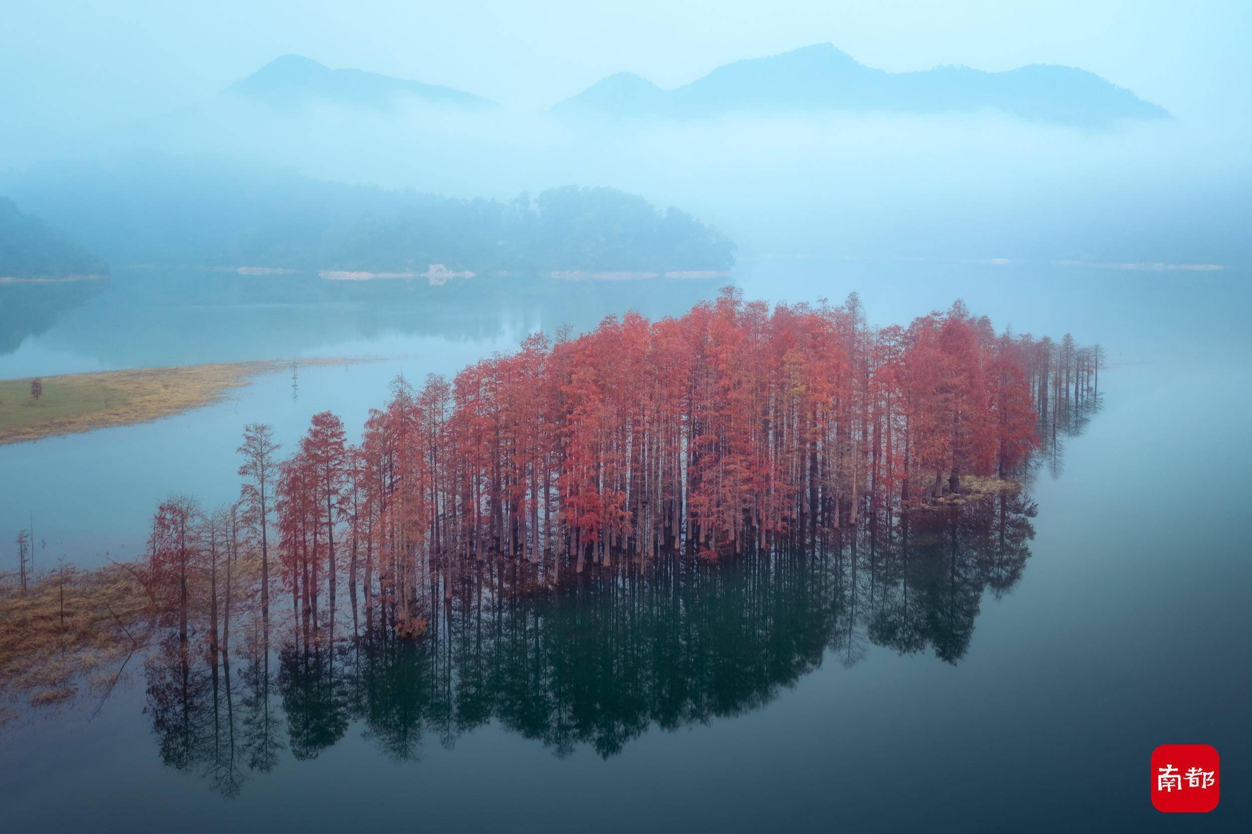 长江水库|图集：薄雾缭绕群山，红叶黄叶交织，这里景色天然中国风