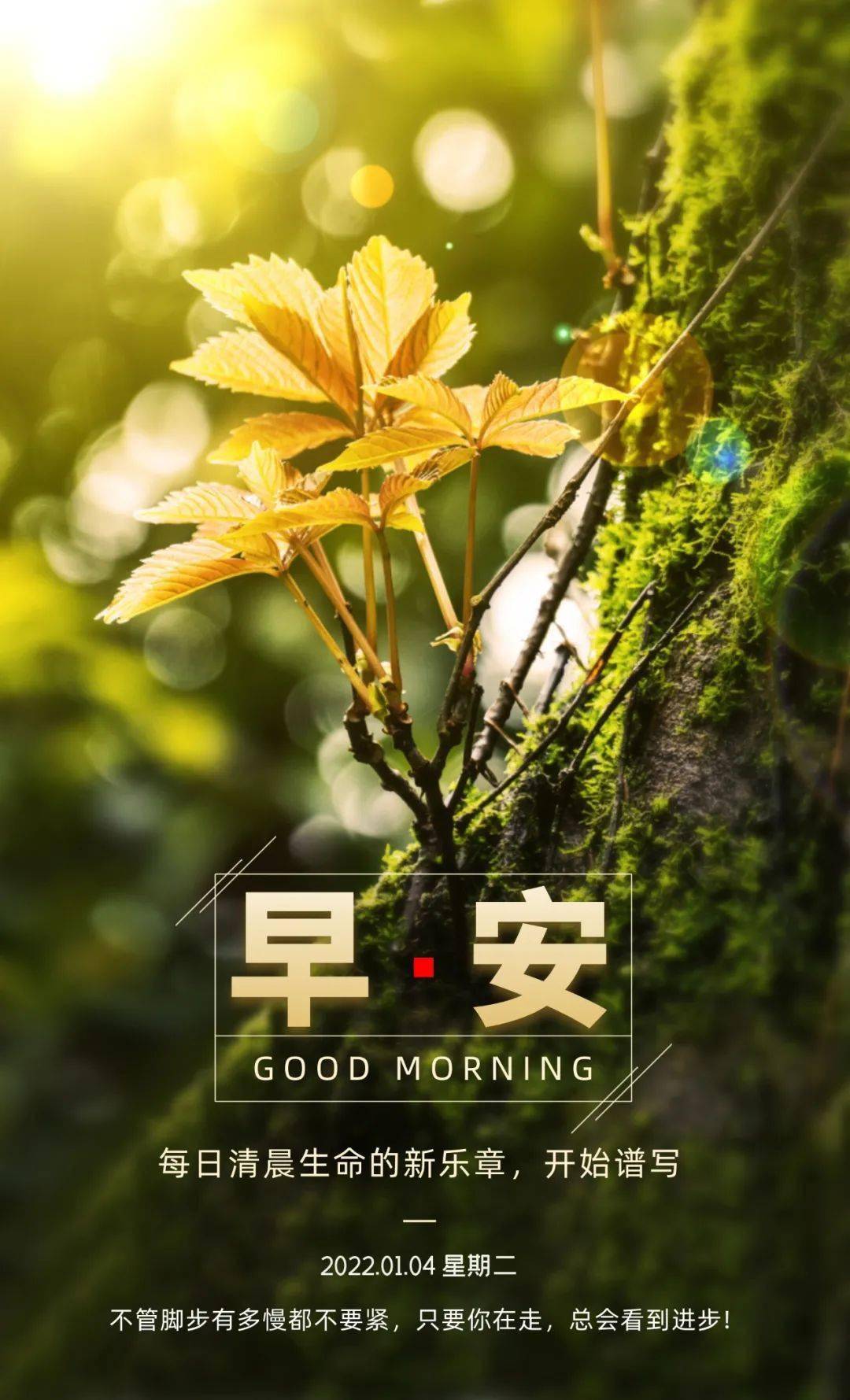 1月4日早安心语正能量新潮语录句子2022最新早安图片正能量励志_搜狐网