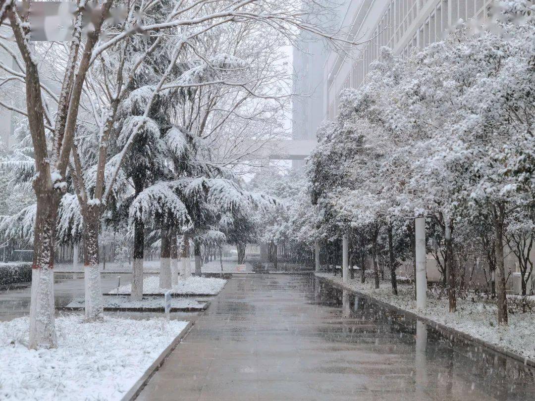 河北民族师范学院雪景图片