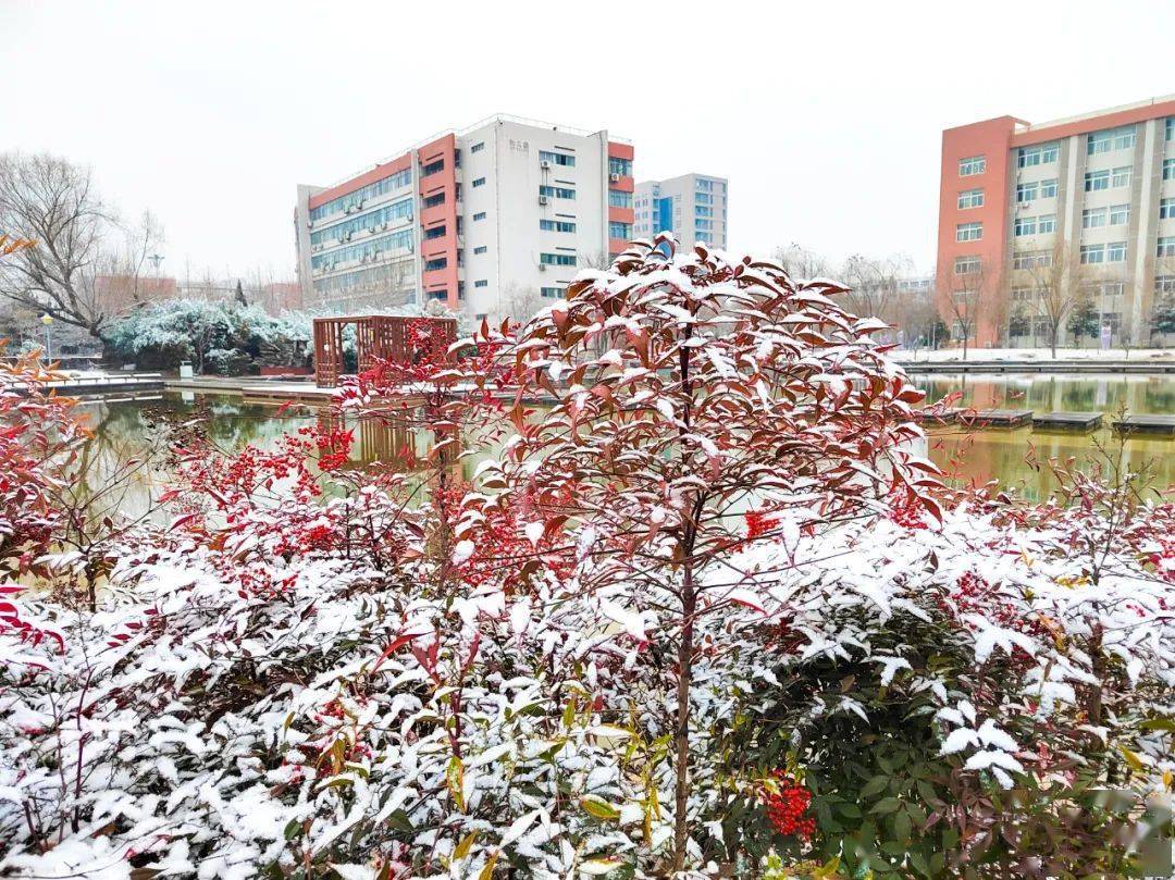 河北民族师范学院雪景图片