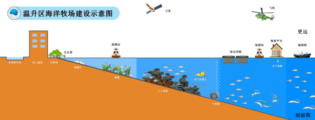 海洋科普1639海洋牧场被称为蓝色粮仓的海上大草原