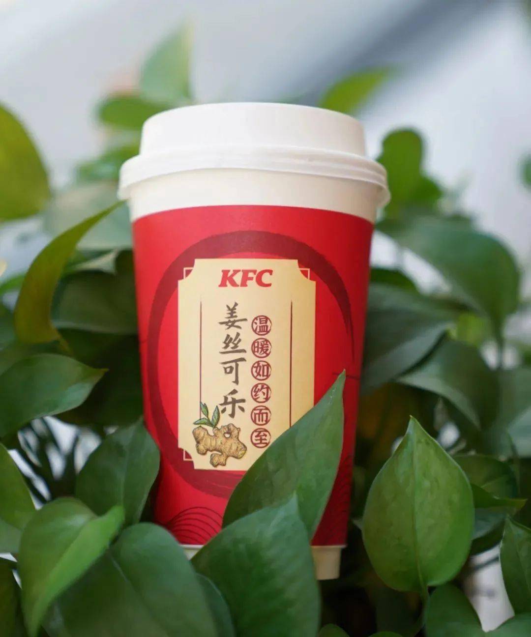 姜丝_可乐_肯德基