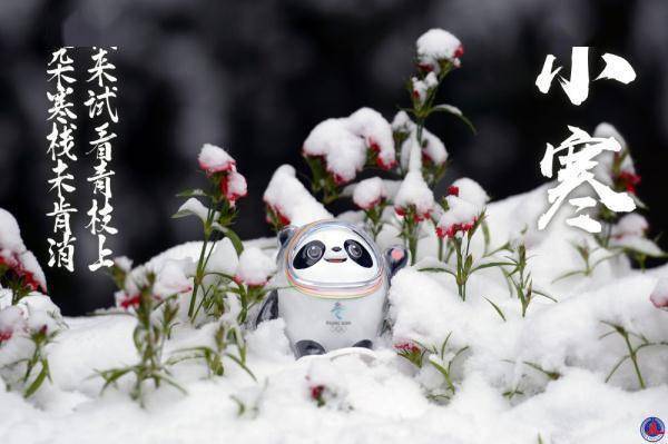 海报|冰墩墩打卡二十四节气·小寒