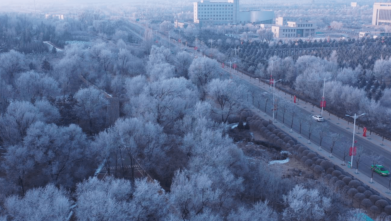 组图宁夏固原市出现雾凇景观美不胜收