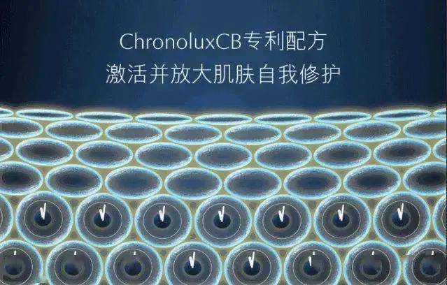 全球300套雅诗兰黛明星产品马上开抢！好用到犯规！