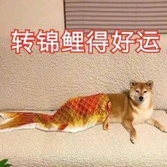 四六级出分前这五件事一定要做