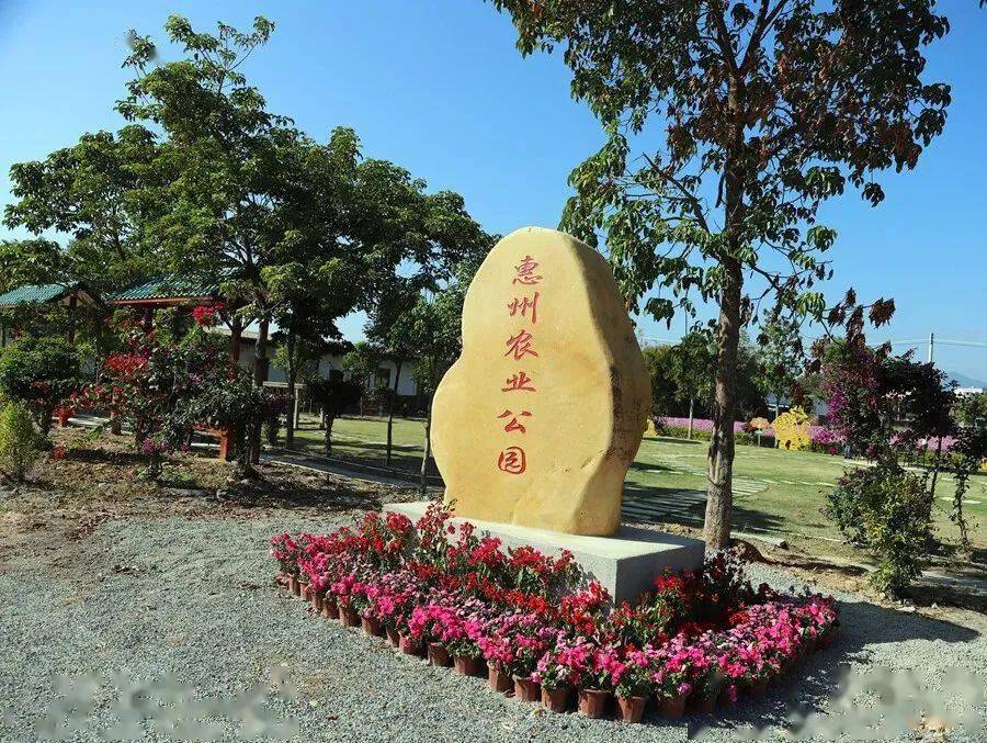 视频:惠州头条app沿着宽敞的柏油村道进入博罗县麻陂镇洪湖村村里的