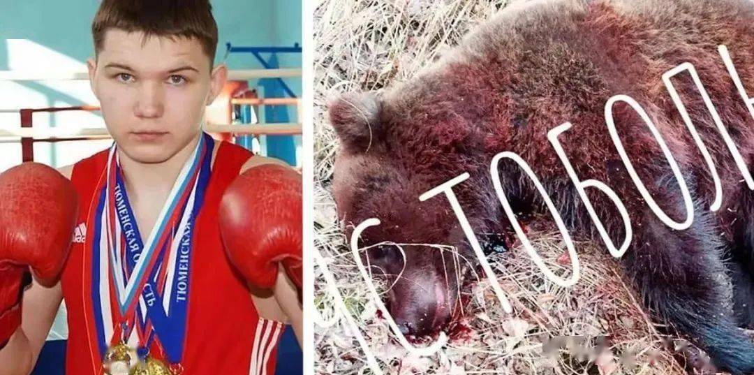 俄罗斯年轻拳手遭遇棕熊袭击徒手大战棕熊最终成功逃脱