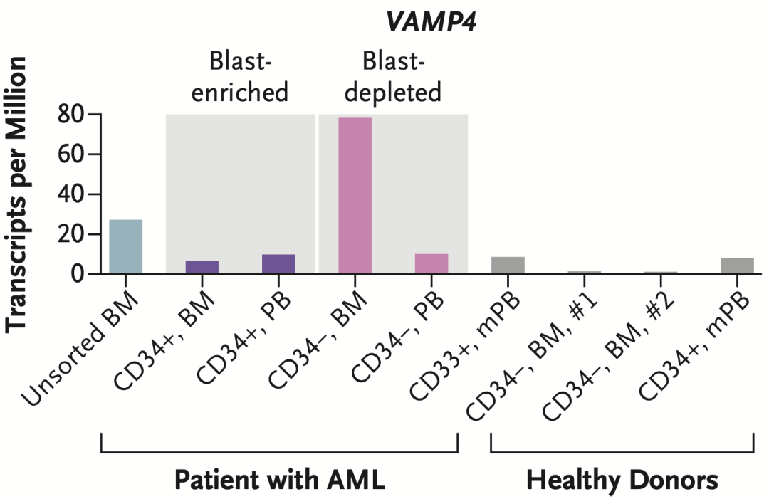 外周血|NEJM：基因治疗后确诊白血病，究竟是怎么回事儿？