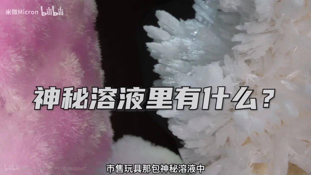 实验|500W网友围观！90后学霸猜出这玩意的配方后，造了一棵超大号