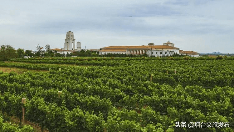 美酒|门票3折！新年来烟台这些景区，放纵玩！