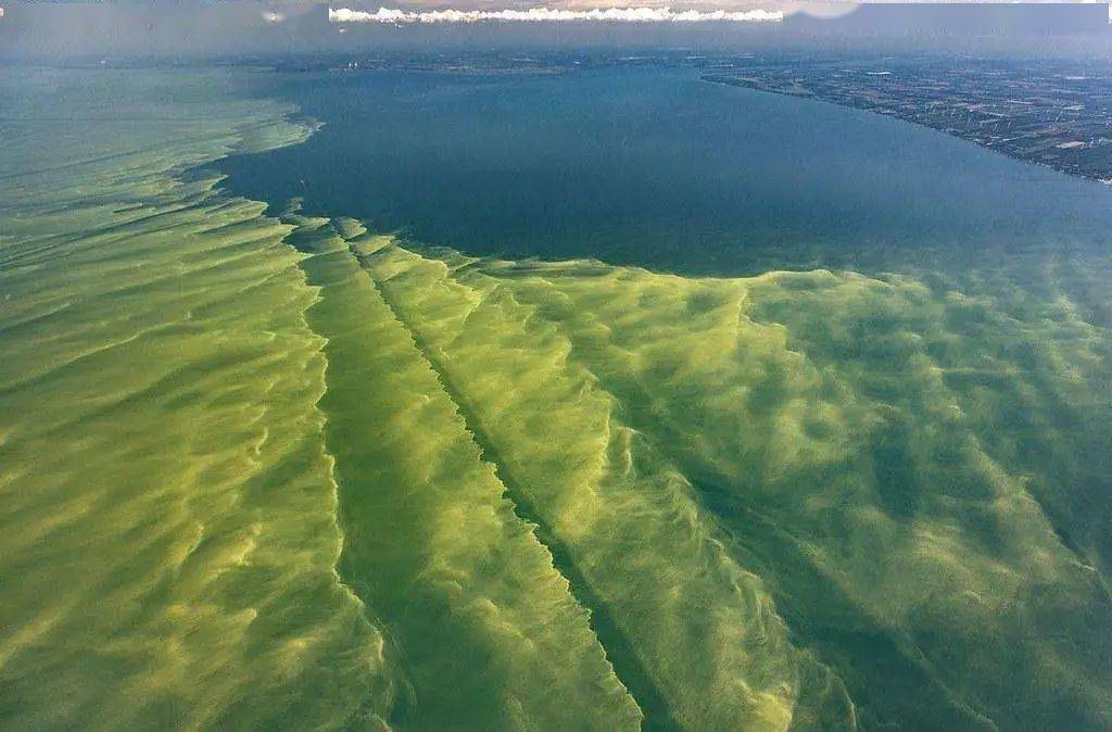海洋科普1640海洋酸化