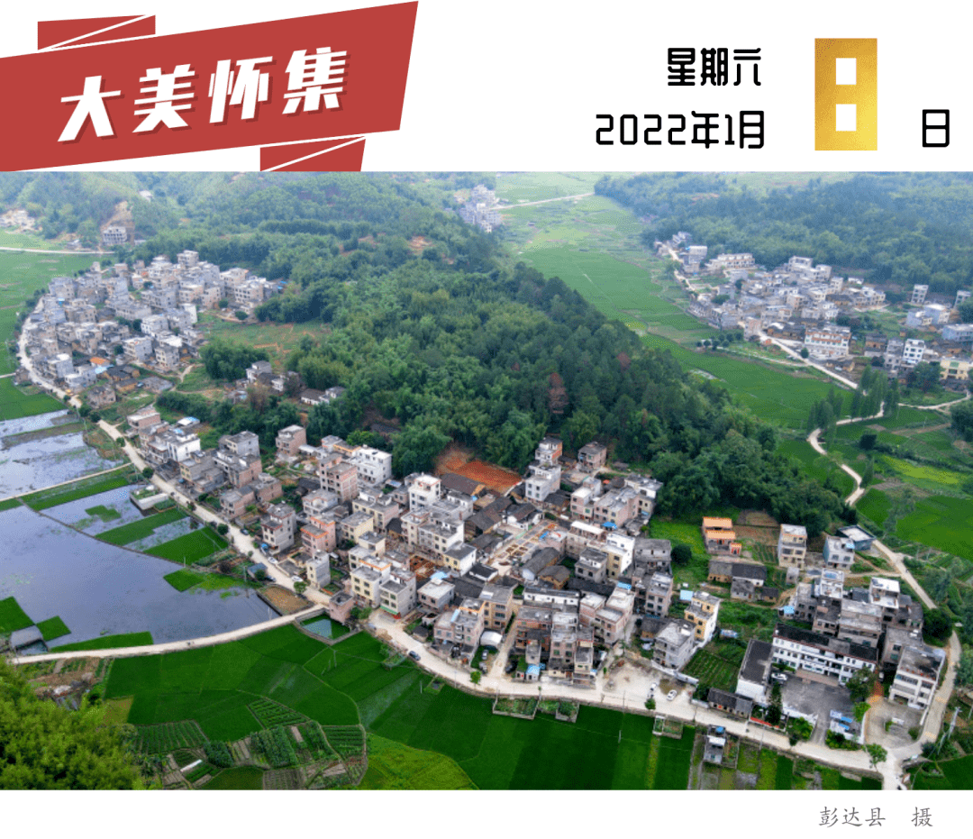 乡村振兴怀集梁村种植甜糯紫玉米拓宽群众致富路子