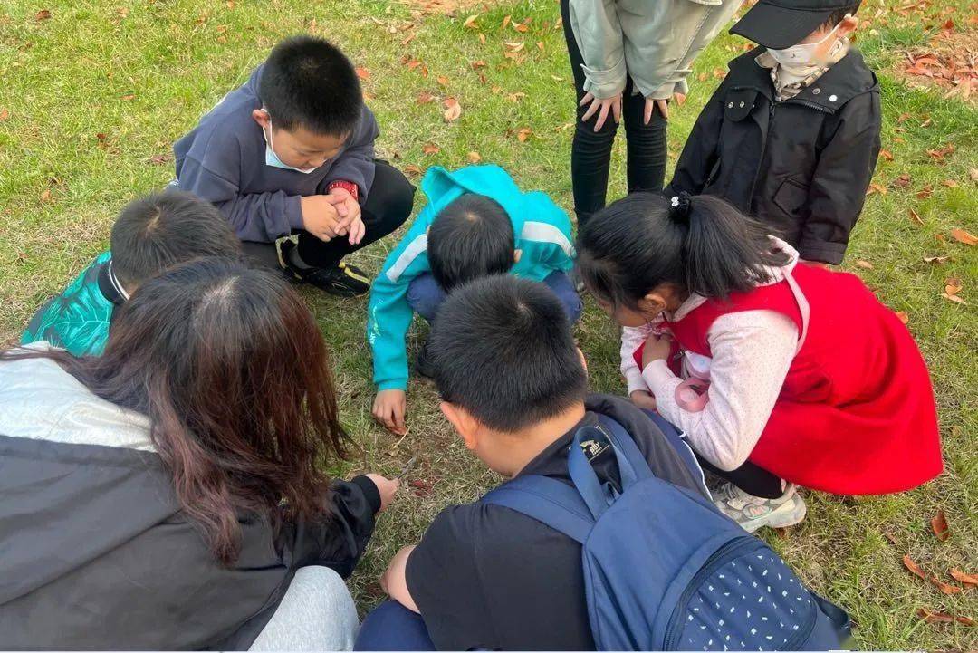 教育|熊孩子寒假咋安排？机智的家长看过来！