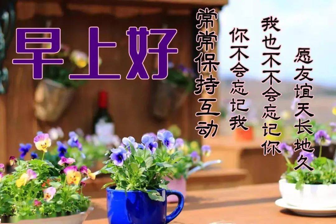 一天第一個問候送給你,讓你有個好心情;第一個祝福送給你,祝你一天