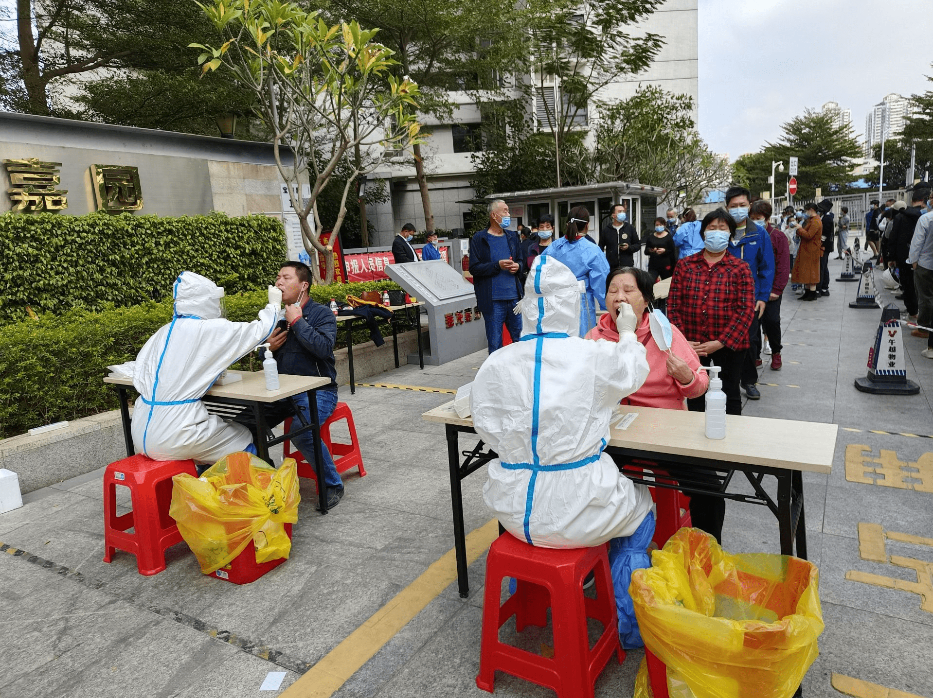 阳性|深网观察 | 迅速！有序！抗疫，深圳真“蛮拼的”