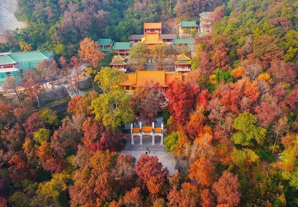 赏枫圣地圭峰山福地金水台金水台温泉度假村叹自助豪华晚餐禅意浓浓享