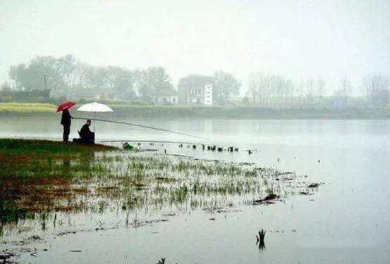 冬天怎么钓鲫鱼野河 c1b27630286345d1af8b4411e2eafaf6.jpeg