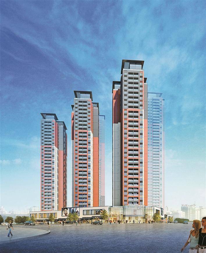 盐田安居海鸿居项目封顶