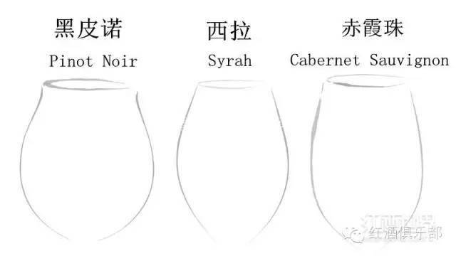 品牌|酒杯的艺术，你见或不见，它都在这里……