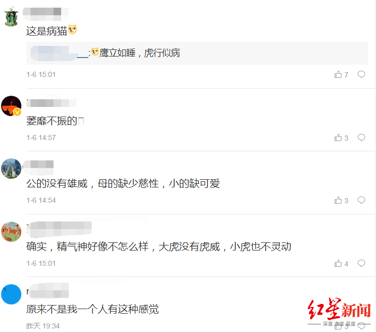 网友|虎年生肖邮票被吐槽“满脸愁容”，作者回应了