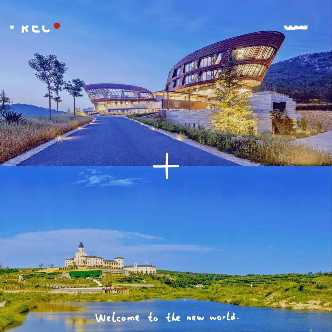 美食|想到2022年要在烟台做这些事,开心地笑出了声…