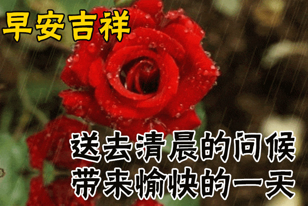 1月9日最漂亮早上好动态表情图片大全早晨好动图美图大全