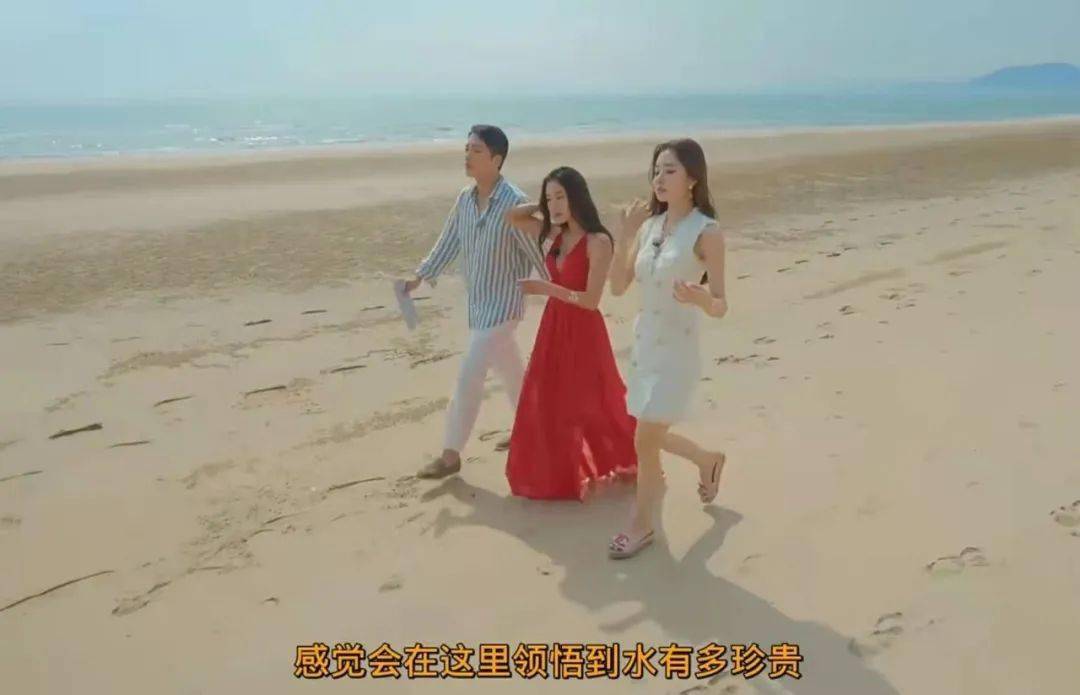 规则|恋综修罗场，好精彩！