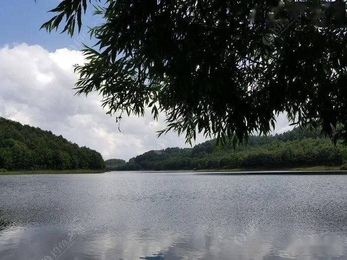 云龙县大浪坝风景区图片