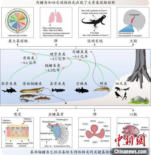 病毒|“二氧化碳人工合成淀粉”等入选2021年度中国生命科学十大进展