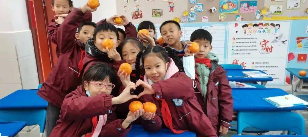 班级|播种绿色 收获幸福 | 一起来学校摘沃柑吧！