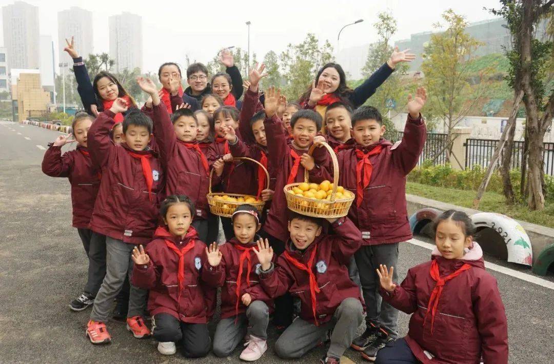 班级|播种绿色 收获幸福 | 一起来学校摘沃柑吧！