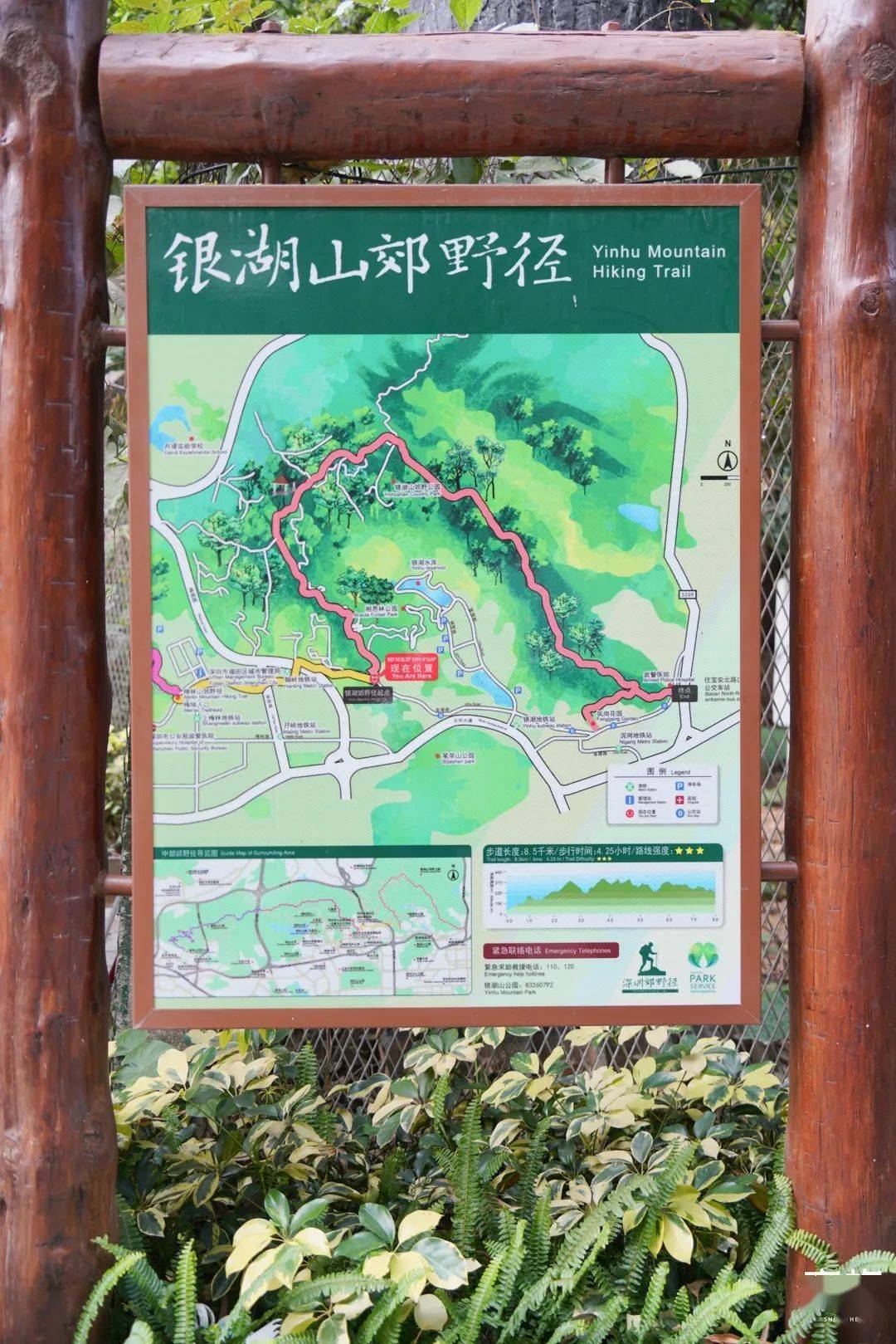 连接4个区的深圳空中绿道绝了