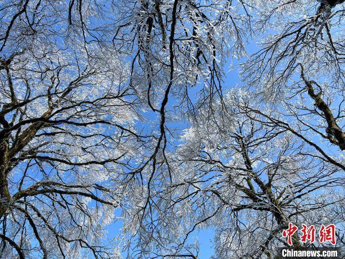 杆洞乡|广西北部深山出现一片彩色雪原