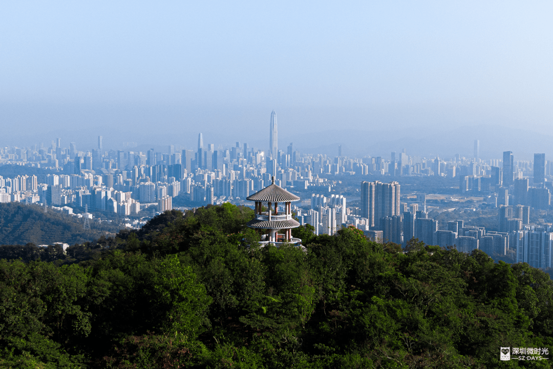 登山|新景区来了！就在这个最适合上班族逛的公园，地铁直达！