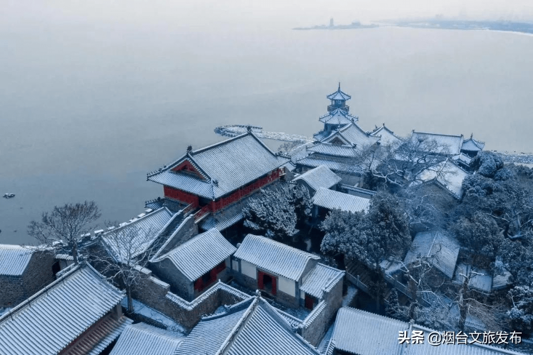 海鸥|海鸥、大海，来一场浪漫的邂逅吧！一起走进仙境蓬莱贺年会——滨海鸥遇蓝色游?