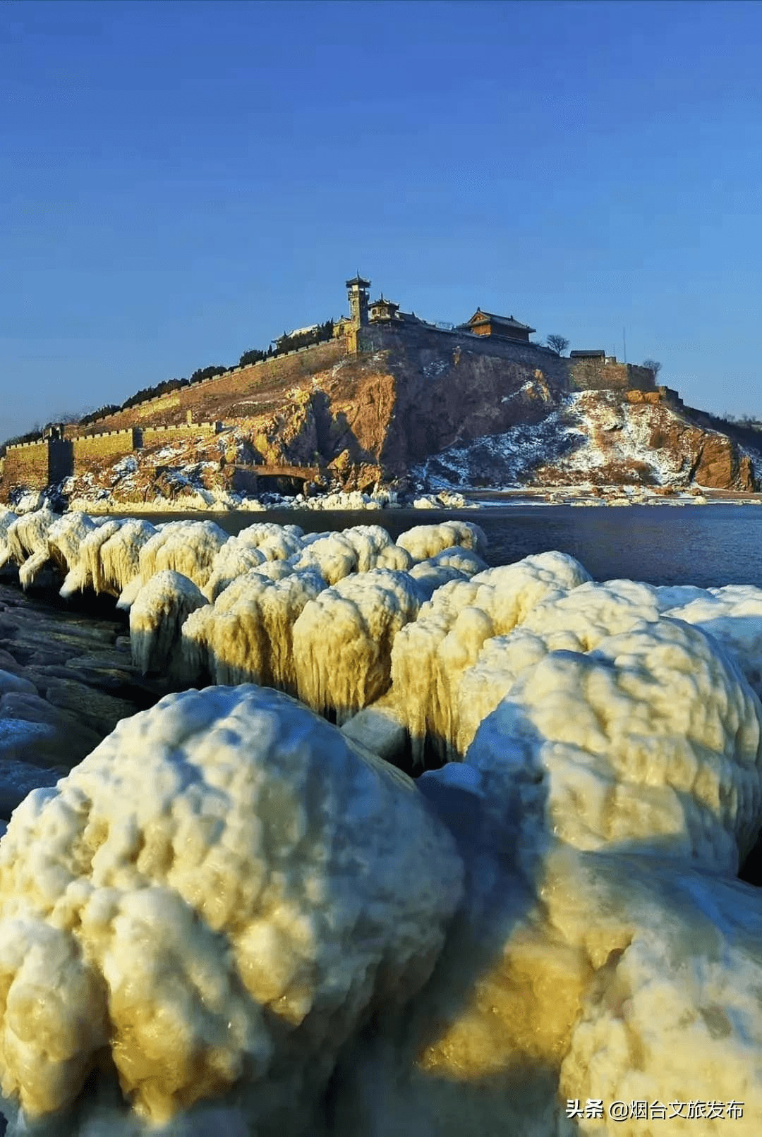 海鸥|海鸥、大海，来一场浪漫的邂逅吧！一起走进仙境蓬莱贺年会——滨海鸥遇蓝色游?