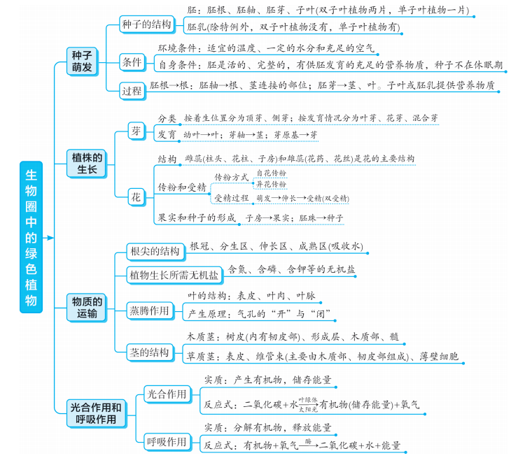 阅读文章|初中生物各专题知识梳理思维导图大汇总，预习复习都适用！