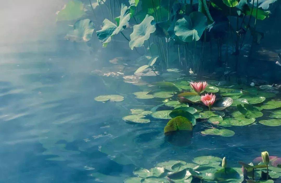 千年来无数诗人追求的人生大境界就藏在这5首诗中