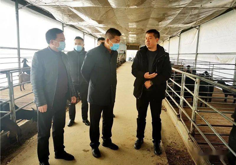 张教志到洞河镇调研乡村振兴和疫情防控工作