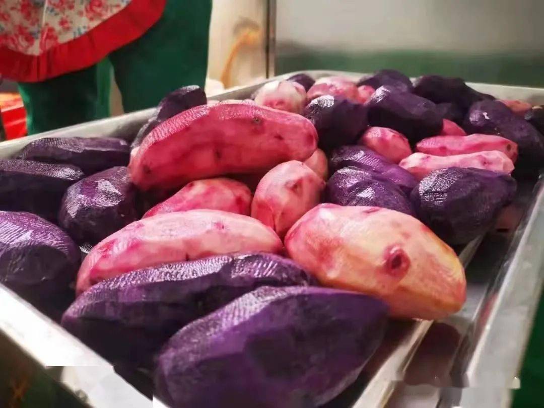 沙参什么颜色的好 2935fd68a014404e894463f9fc7cf059.jpeg